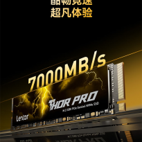 雷克沙NM800PRO 1TB PCIe4.0 固态硬盘