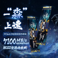 梵想S790 2TB PCIe4.0 固态硬盘